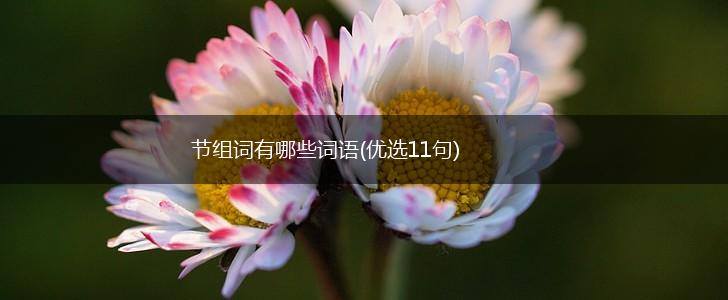 节组词有哪些词语(优选11句),第1张