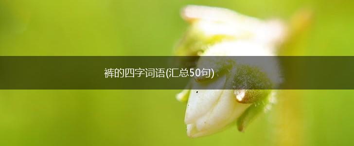 裤的四字词语(汇总50句),第1张