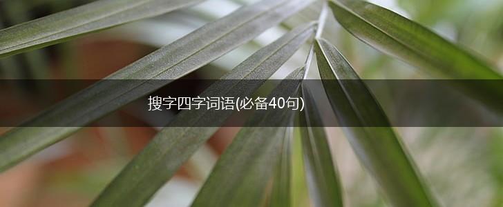 搜字四字词语(必备40句),第1张