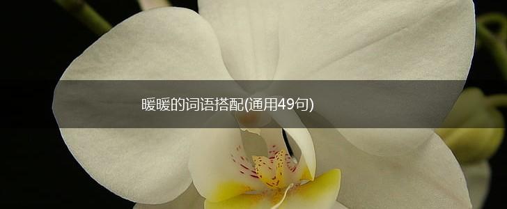 暖暖的词语搭配(通用49句),第1张