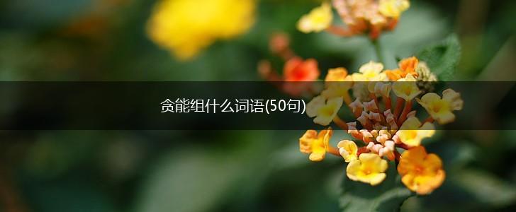 贪能组什么词语(50句),第1张