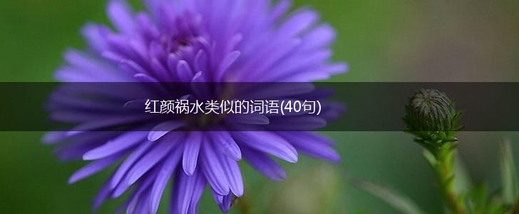 红颜祸水类似的词语(40句),第1张