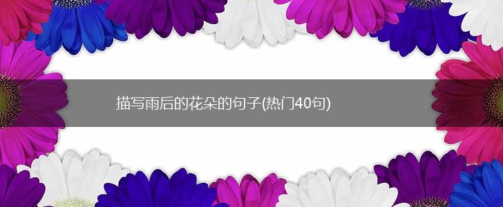 描写雨后的花朵的句子(热门40句),第1张