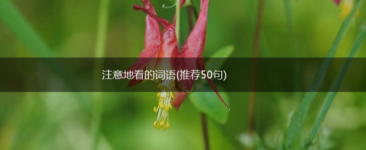 注意地看的词语(推荐50句),第1张
