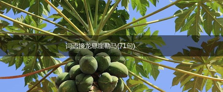 词语接龙悬崖勒马(71句),第1张