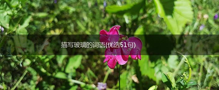 描写玻璃的词语(优选51句),第1张