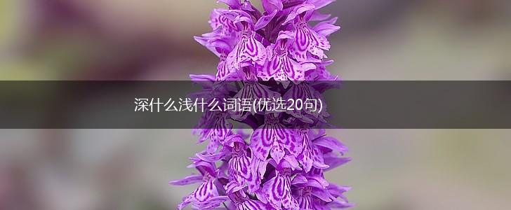 深什么浅什么词语(优选20句),第1张