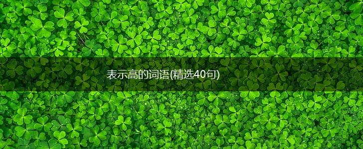 表示高的词语(精选40句),第1张