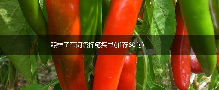 照样子写词语挥笔疾书(推荐60句),第1张