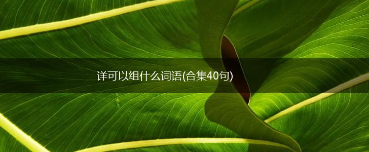 详可以组什么词语(合集40句),第1张