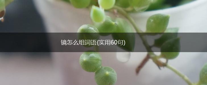 镜怎么组词语(实用60句),第1张
