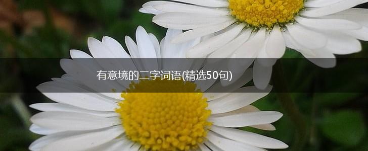 有意境的二字词语(精选50句),第1张
