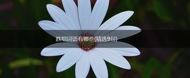 跌组词语有哪些(精选9句),第1张
