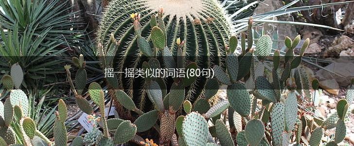 摇一摇类似的词语(80句),第1张