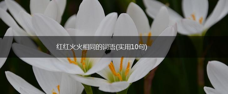 红红火火相同的词语(实用10句),第1张
