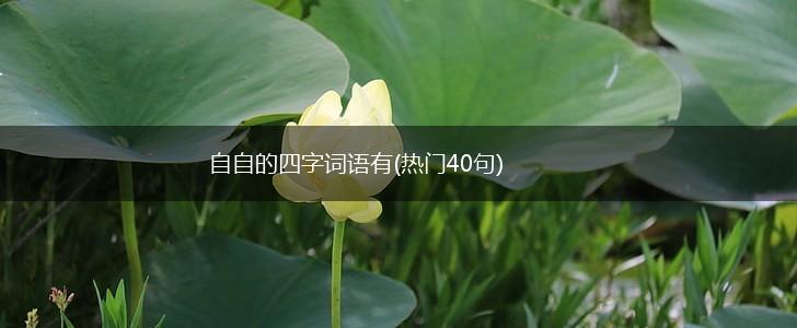 自自的四字词语有(热门40句),第1张