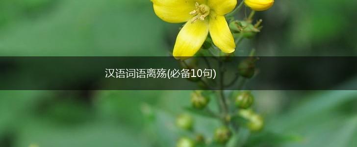 汉语词语离殇(必备10句),第1张