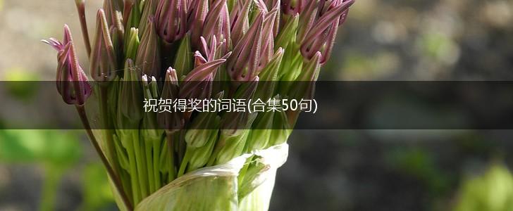 祝贺得奖的词语(合集50句),第1张