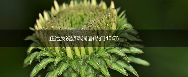 正话反说游戏词语(热门40句),第1张