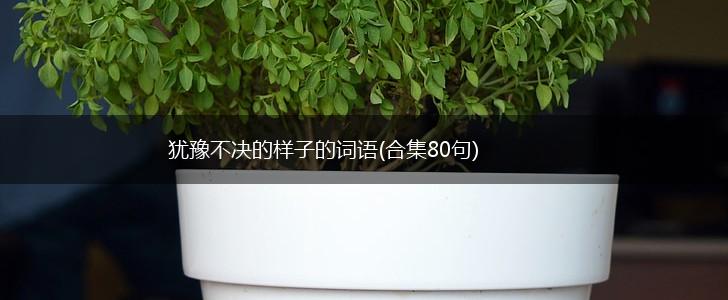犹豫不决的样子的词语(合集80句),第1张