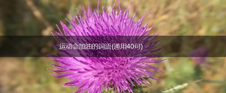 运动会加油的词语(通用40句),第1张