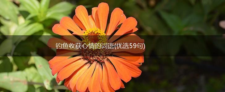 钓鱼收获心情的词语(优选59句),第1张