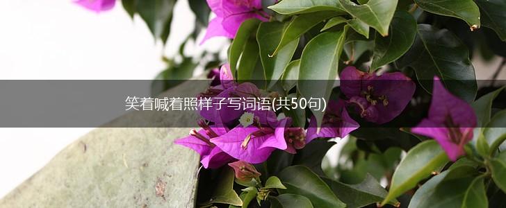 笑着喊着照样子写词语(共50句),第1张