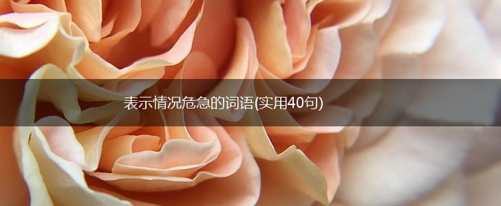 表示情况危急的词语(实用40句),第1张