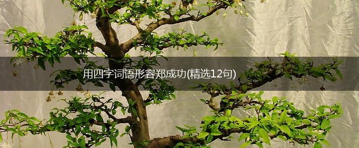 用四字词语形容郑成功(精选12句),第1张