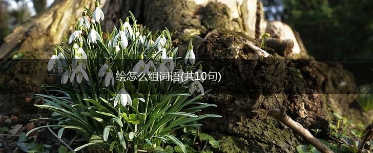 绘怎么组词语(共10句),第1张