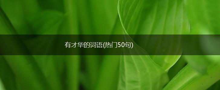 有才华的词语(热门50句),第1张