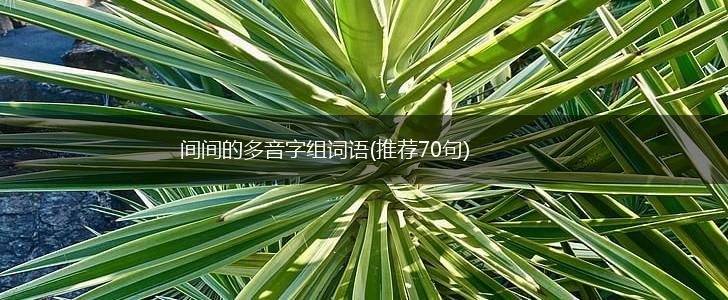 间间的多音字组词语(推荐70句),第1张