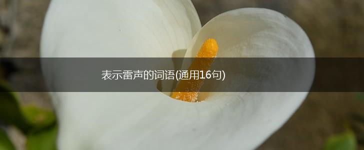 表示雷声的词语(通用16句),第1张
