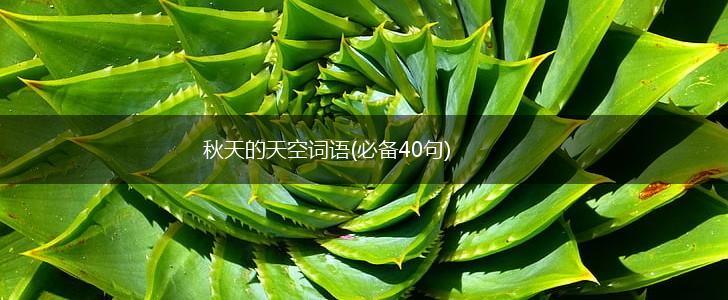 秋天的天空词语(必备40句),第1张