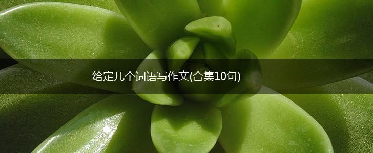 给定几个词语写作文(合集10句),第1张