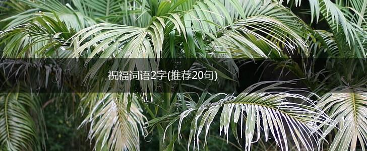 祝福词语2字(推荐20句),第1张
