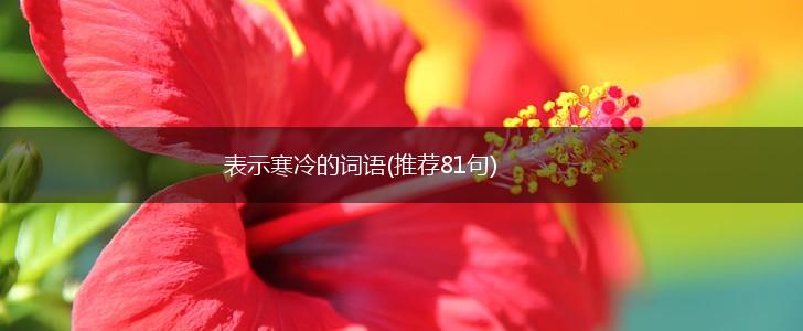 表示寒冷的词语(推荐81句),第1张