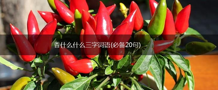 香什么什么三字词语(必备20句),第1张
