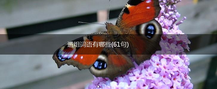 遣组词语有哪些(61句),第1张