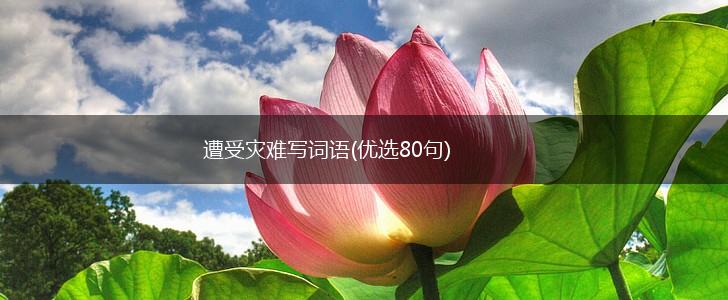遭受灾难写词语(优选80句),第1张