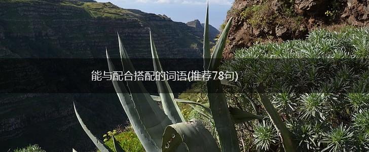 能与配合搭配的词语(推荐78句),第1张