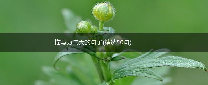 描写力气大的句子(精选50句),第1张