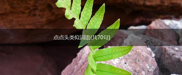 点点头类似词语(共70句),第1张