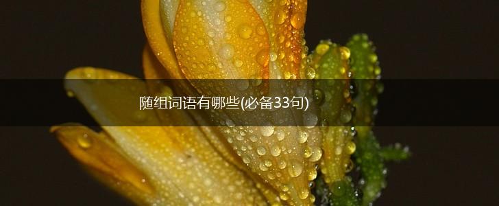随组词语有哪些(必备33句),第1张