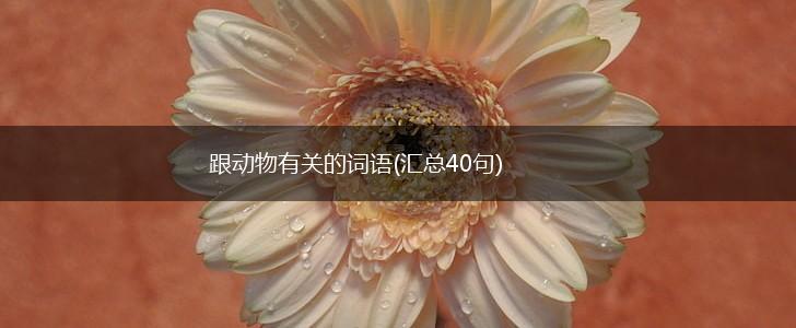 跟动物有关的词语(汇总40句),第1张