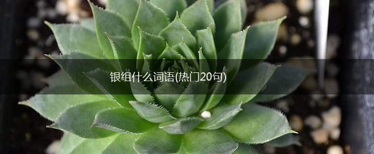 银组什么词语(热门20句),第1张