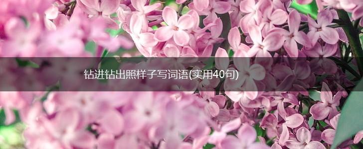 钻进钻出照样子写词语(实用40句),第1张