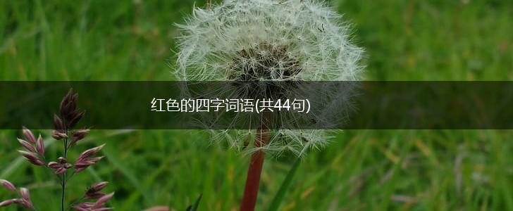红色的四字词语(共44句),第1张