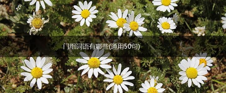门组词语有哪些(通用50句),第1张
