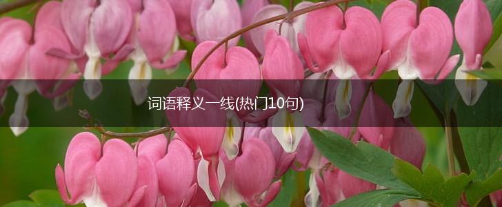 词语释义一线(热门10句),第1张